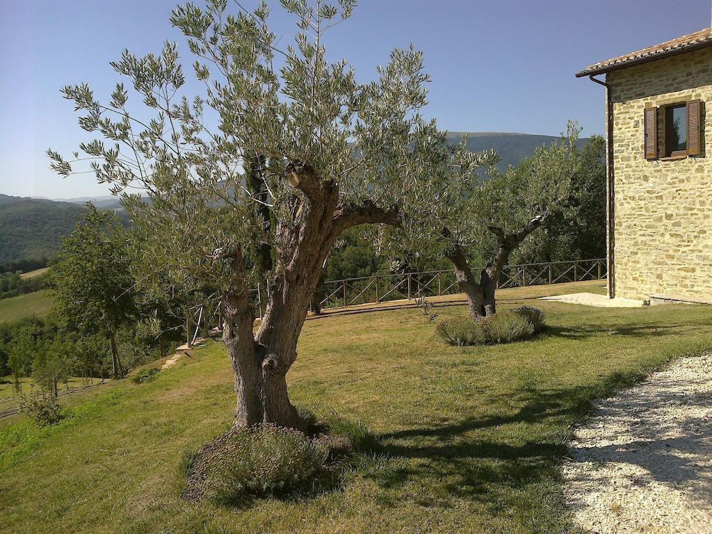 אסיסי Agriturismo Paradiso 44 מראה חיצוני תמונה