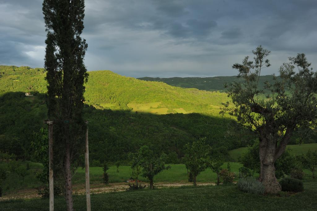 אסיסי Agriturismo Paradiso 44 מראה חיצוני תמונה