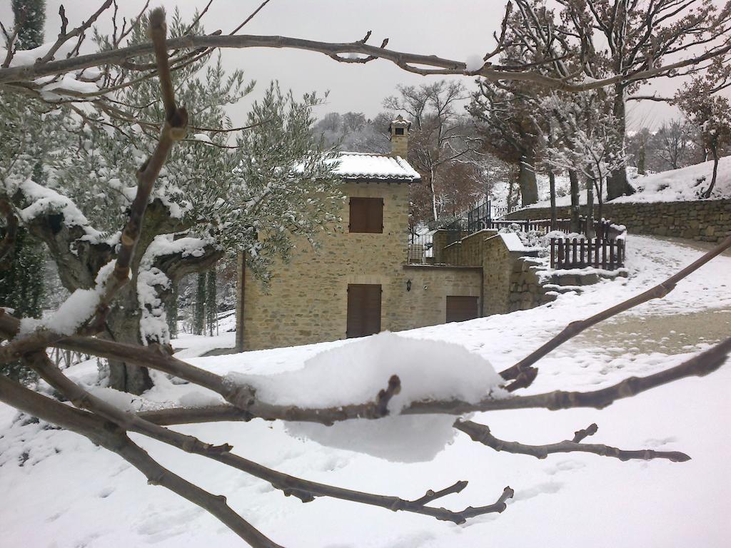 אסיסי Agriturismo Paradiso 44 מראה חיצוני תמונה