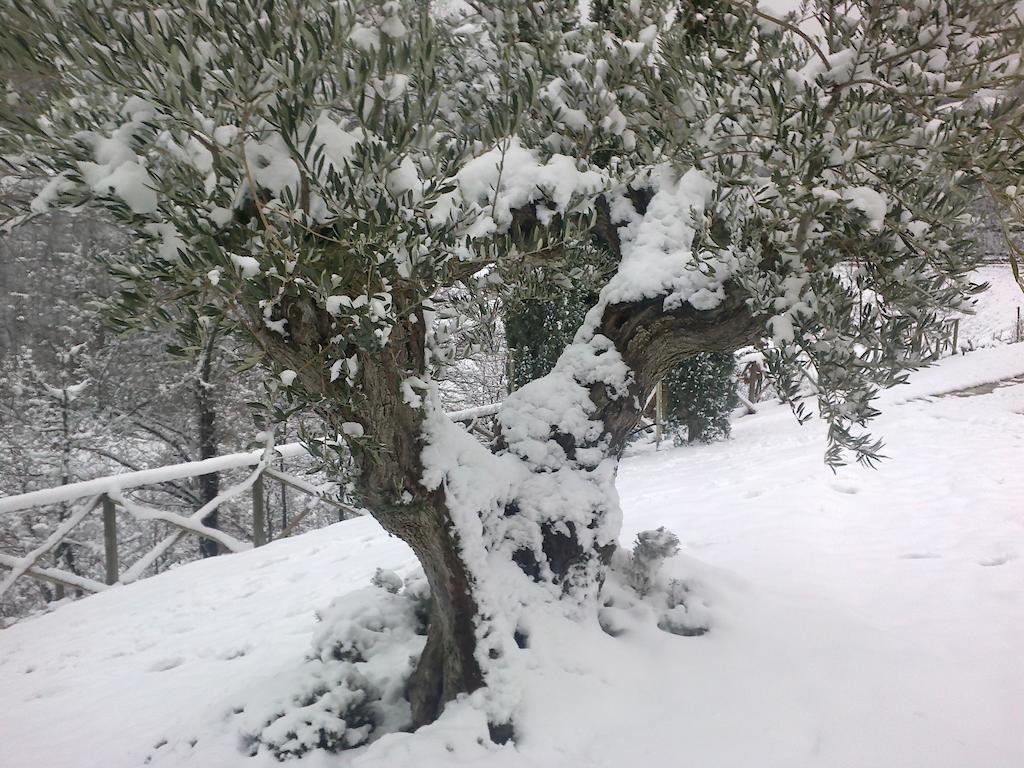 אסיסי Agriturismo Paradiso 44 מראה חיצוני תמונה