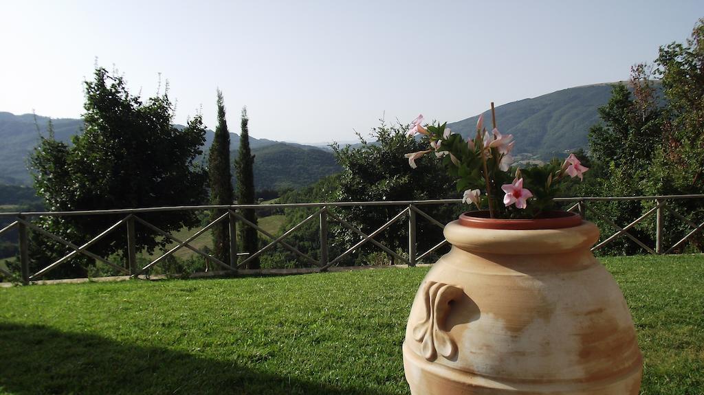 אסיסי Agriturismo Paradiso 44 מראה חיצוני תמונה