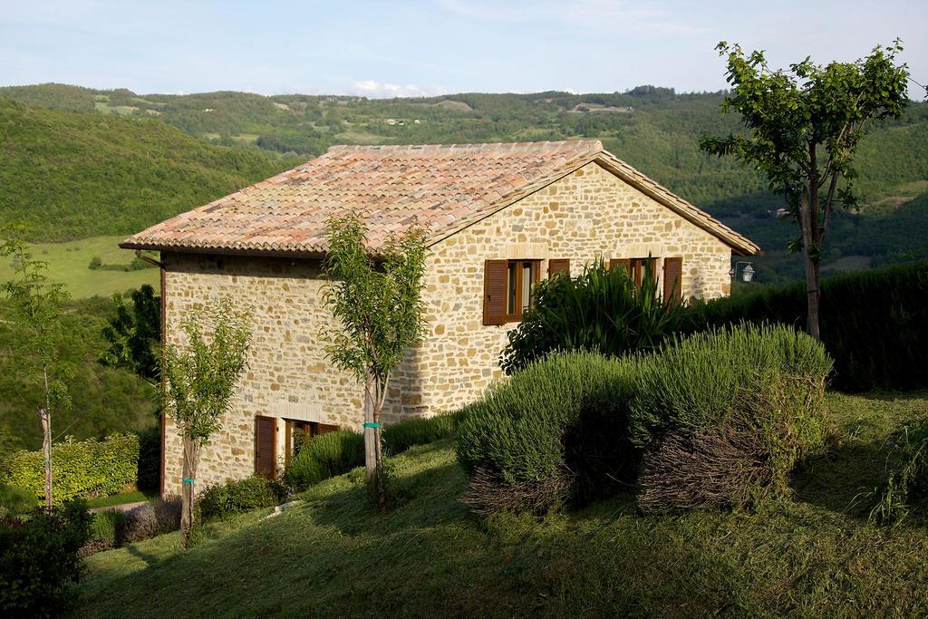 אסיסי Agriturismo Paradiso 44 מראה חיצוני תמונה